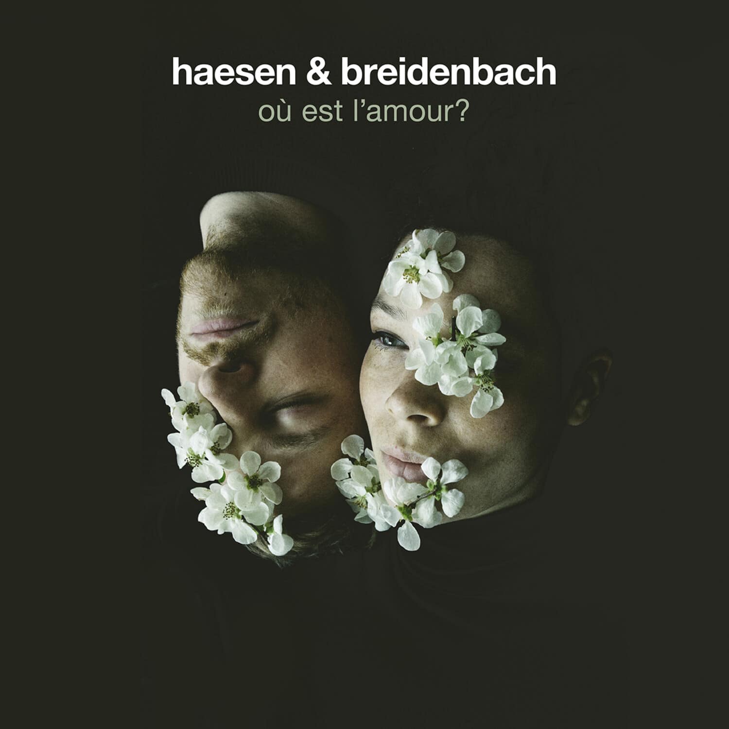 Haesen Breidenbach - Ou Est L'amour  - COMPACT DISCS