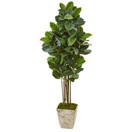 BreeBe - 63" Rubber Leaf Artificial Tree in Country White Planter - Green