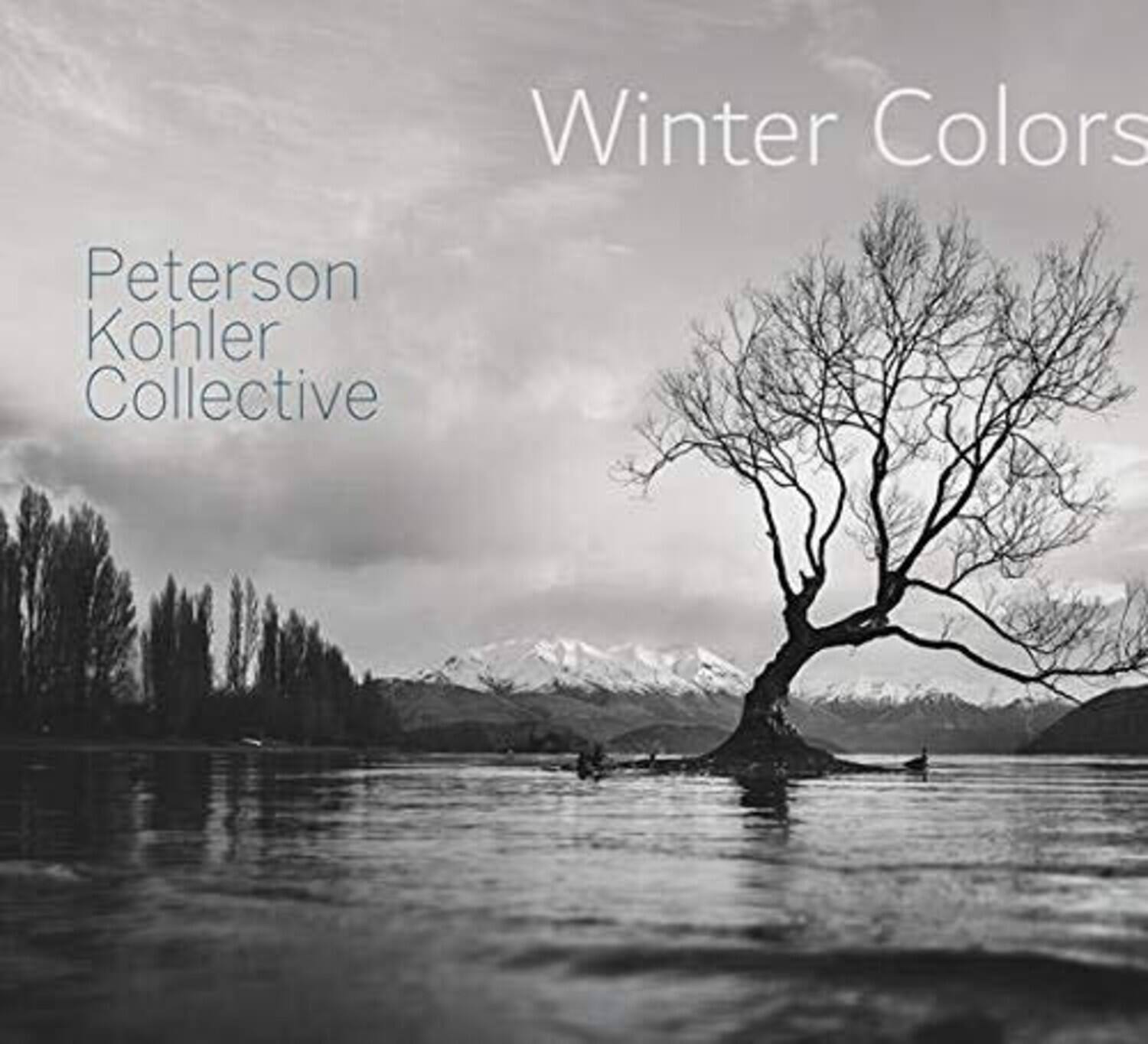 Winter Colors

Peterson Kohler Collective