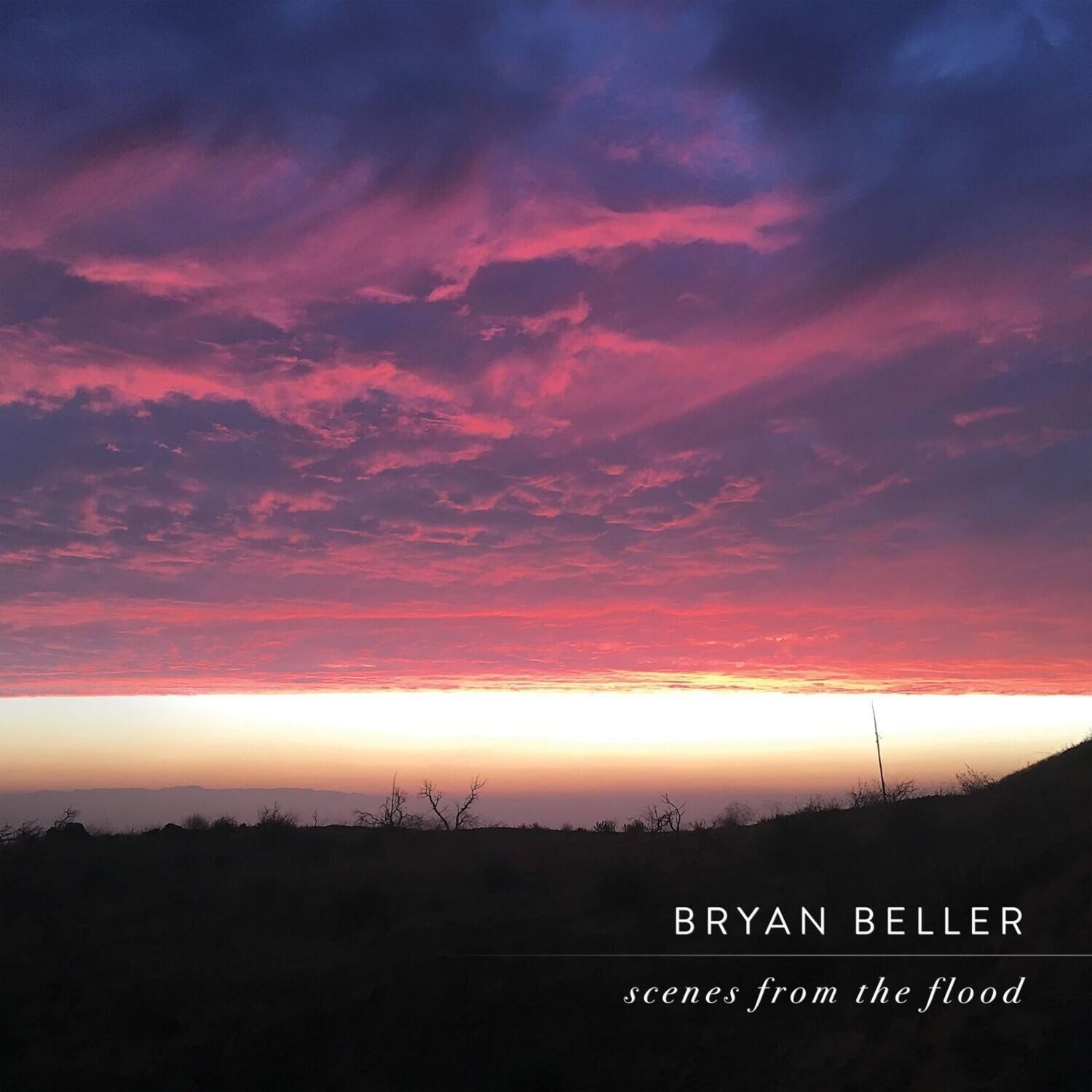 Bryan Beller - Scenes From The Flood - VINYL LP