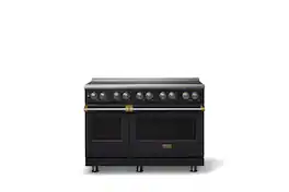 Viking - 48 in. Wide 6 Elements 5 Series Freestanding Electric Induction Range - with Brushed Brass Trim - Onyx