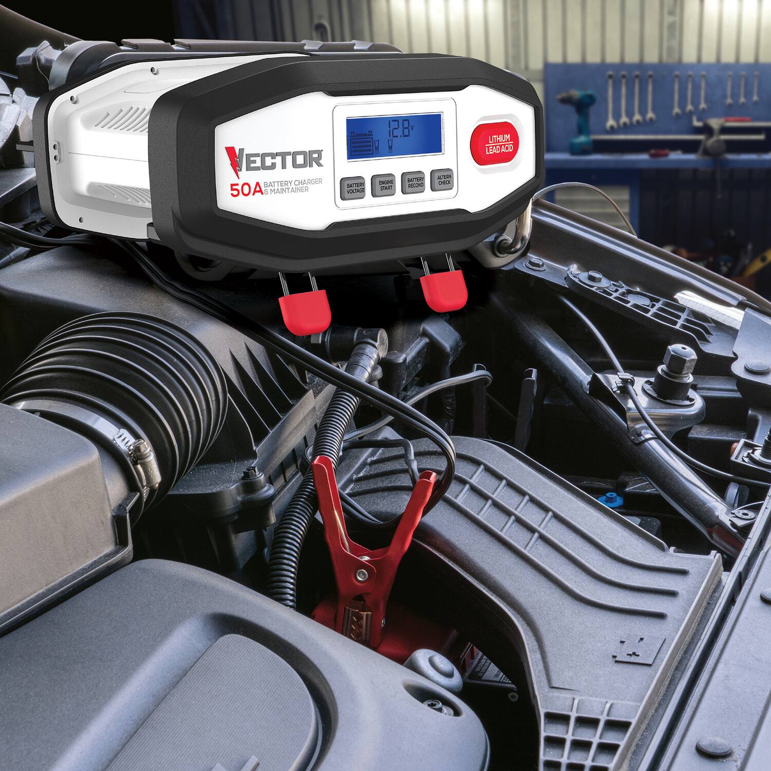 VECTOR 50A BATTERY CHARGER & MAINTAINER  
BATTERIES  
LITHIUM LEAD ACID  
12.8 V