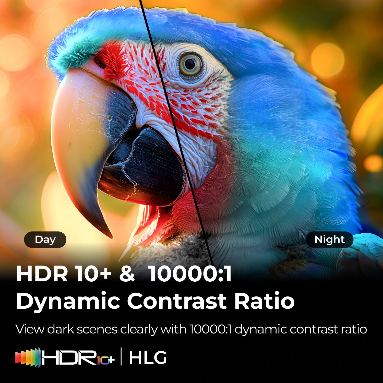 HDR 10+ & 10000:1 Dynamic Contrast Ratio  
View dark scenes clearly with 10000:1 dynamic contrast ratio  
HDR IC+ | HLG