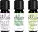 Angle. Ellia - Therapeutic Grade Essential Oils (3-Pack) - Clear.