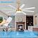 Remote Control
6 Speeds adjustable
Color Temperature Control
1/2/4h Timer Setting