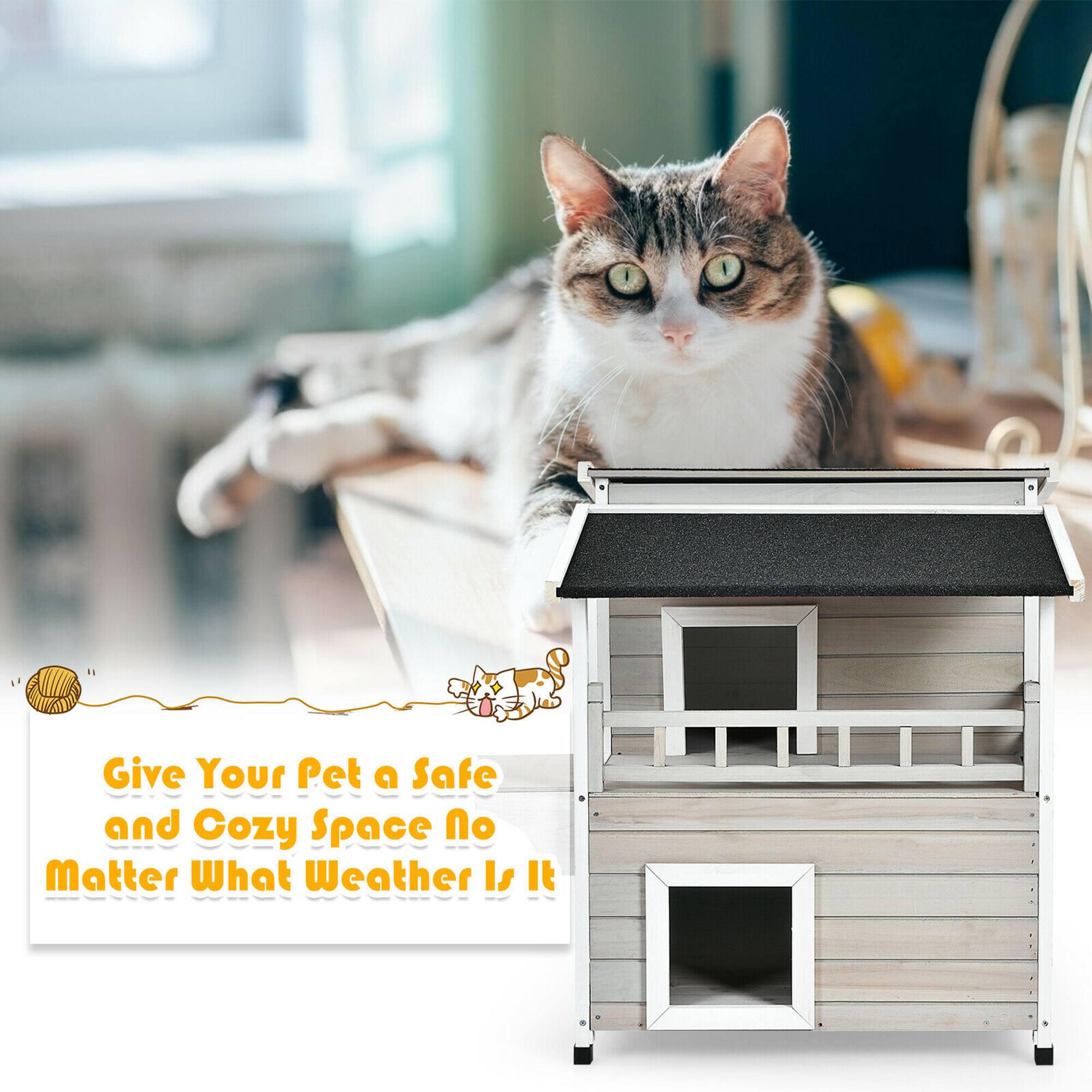 Give Your Pet a Safe and Cozy Space No Matter What Weather It Is