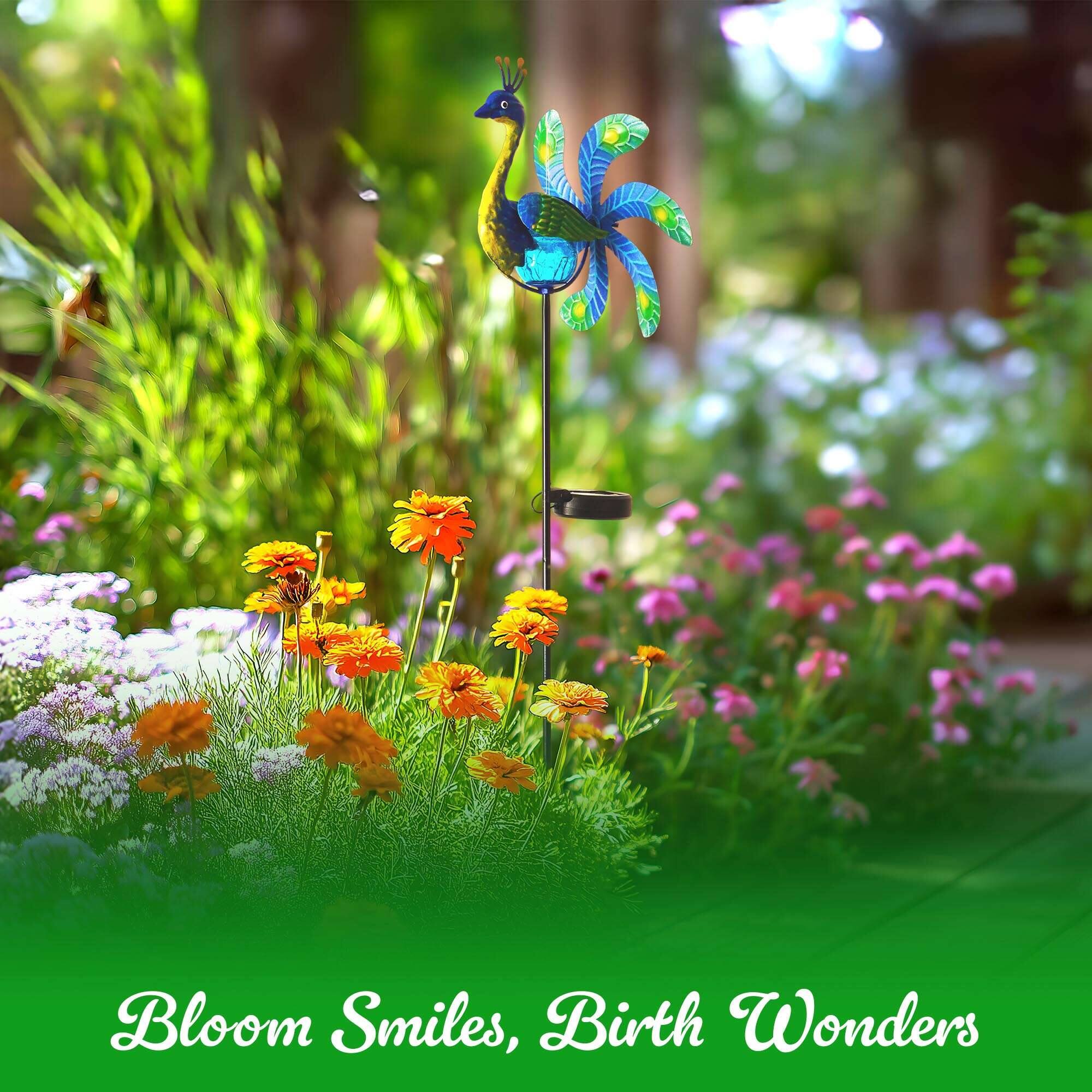 Bloom Smiles, Birth Wonders