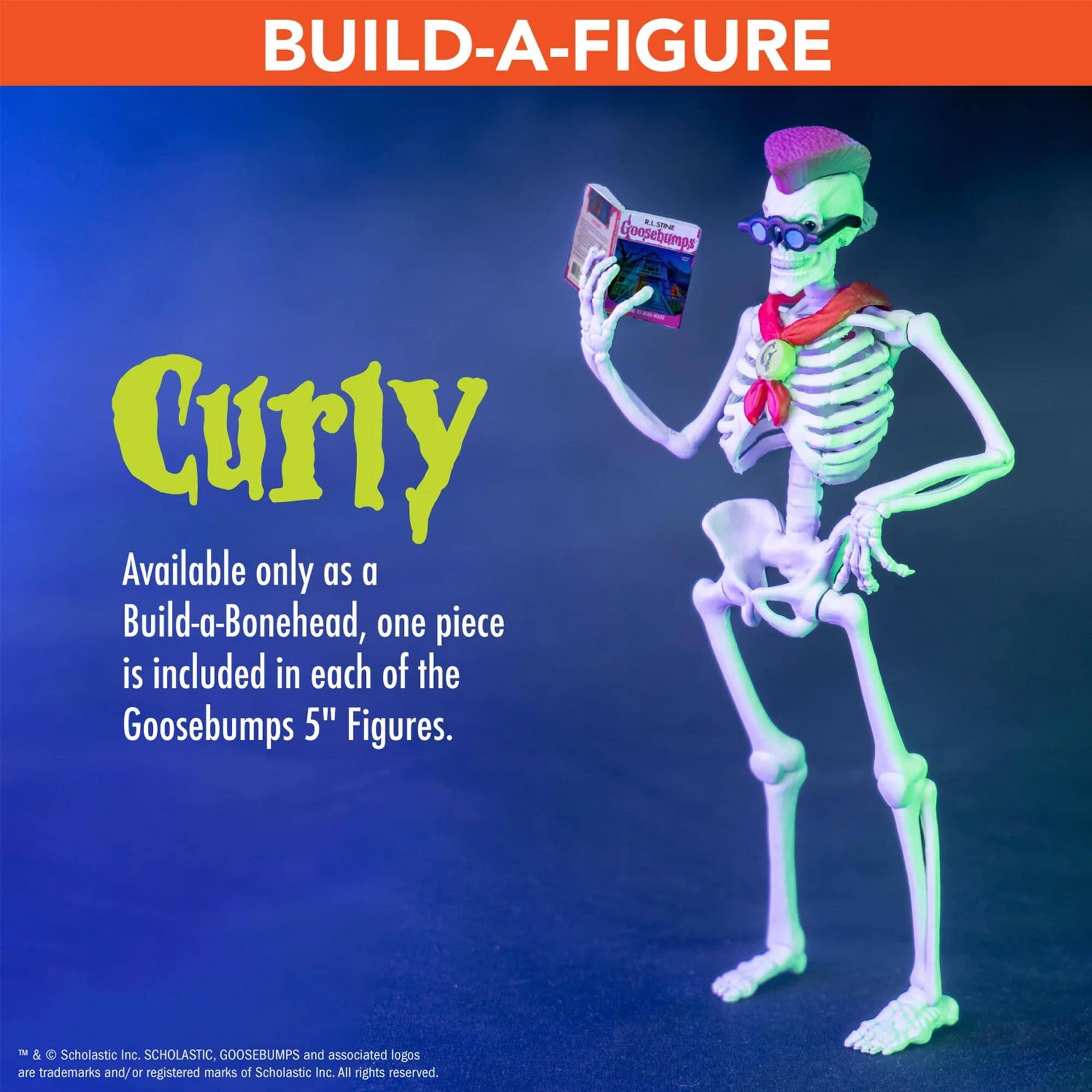 BUILD-A-FIGURE

Curly

Available only as a Build-a-Bonehead, one piece is included in each of the Goosebumps 5" Figures.

TM & © Scholastic Inc. SCHOLASTIC, GOOSEBUMPS and associated logos are trademarks and/or registered marks of Scholastic Inc. All rights reserved.
