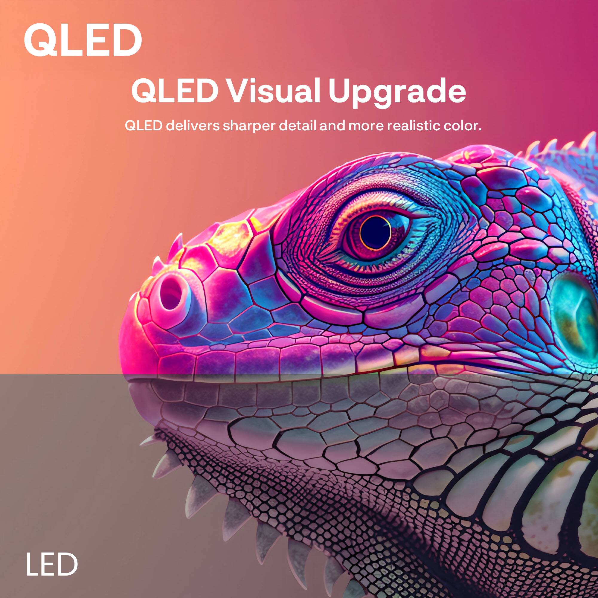 QLED  
QLED Visual Upgrade  
QLED delivers sharper detail and more realistic color.  

LED