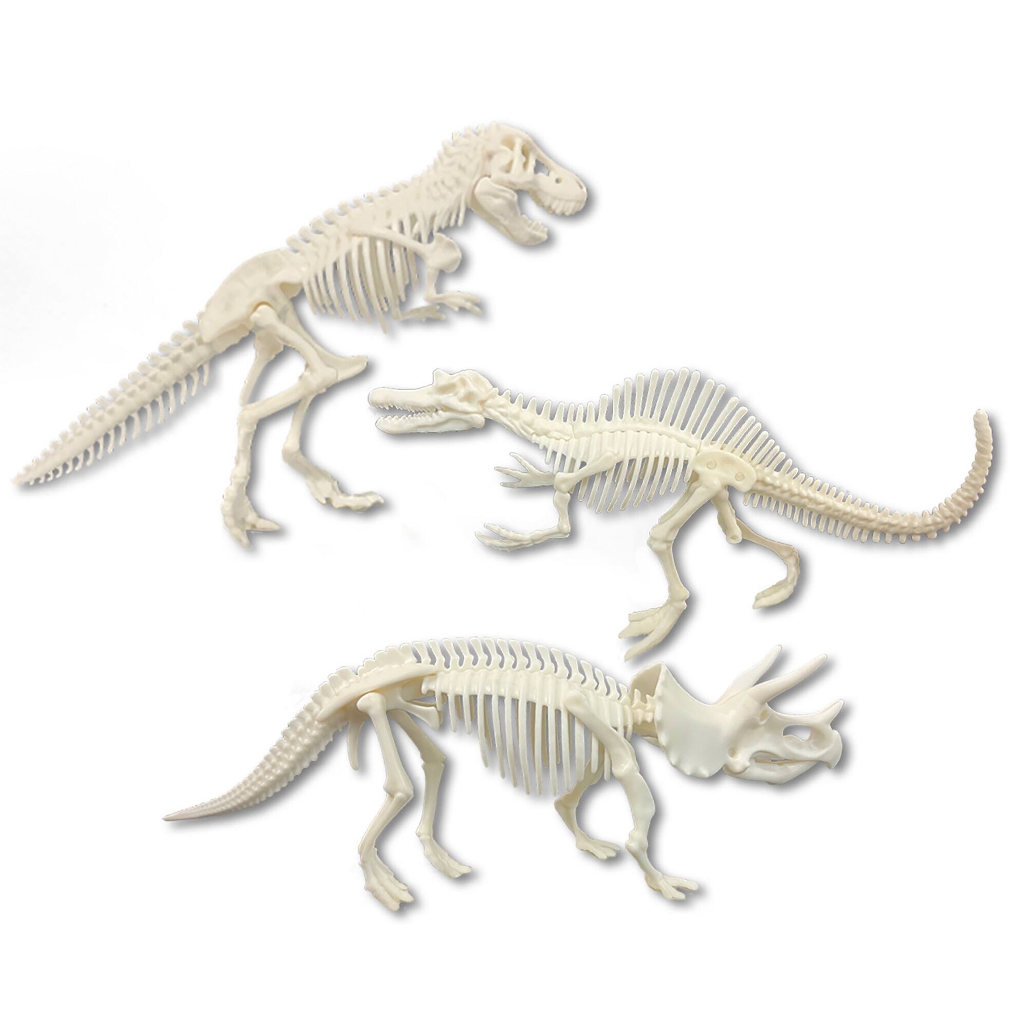 Back. Top Secret Toys - Dissect-It: Dino Dig.