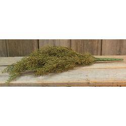 Angle. BreeBe - Wheat Bush 19" - Green.