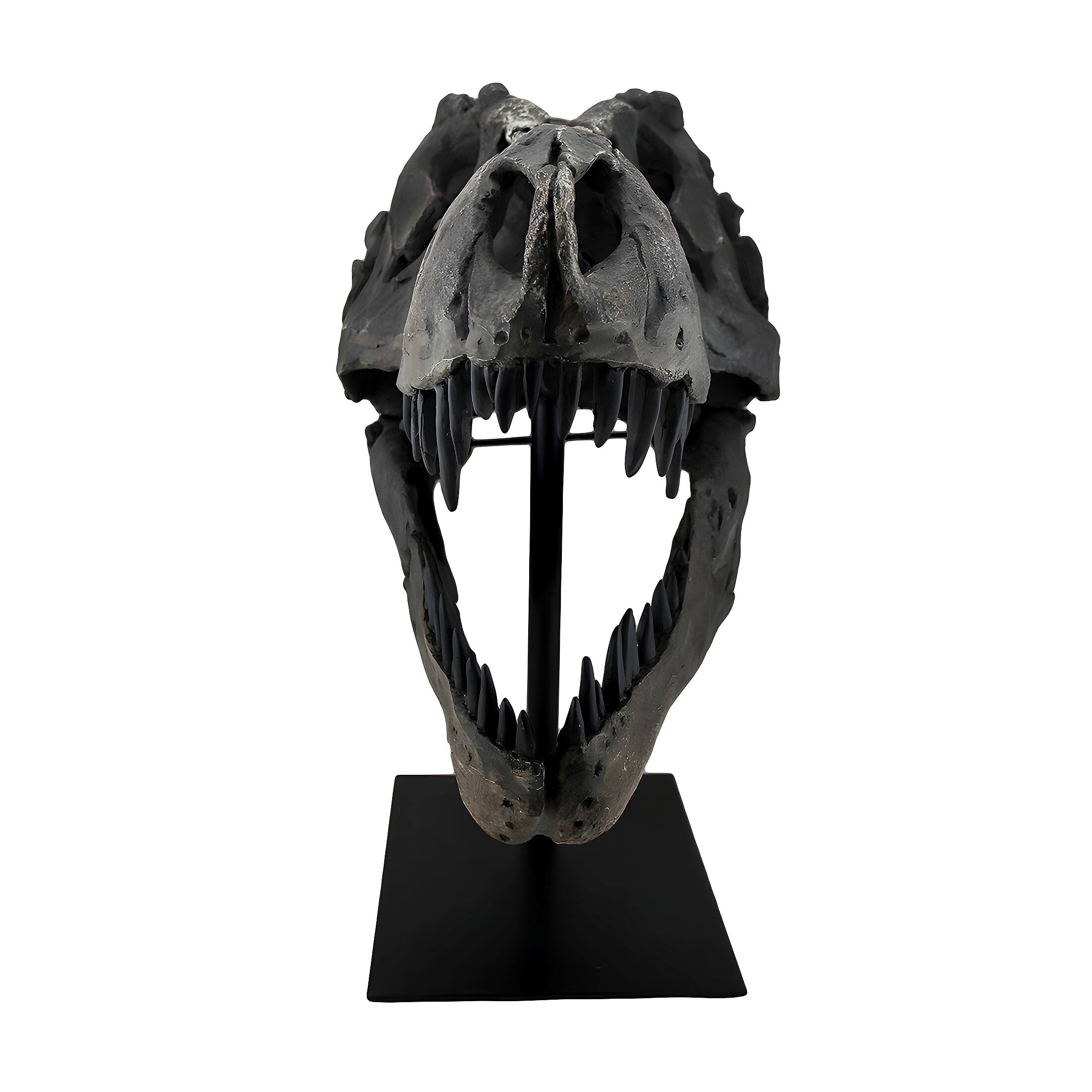 Alt View 1. Zeckos - Gray Finished Tyrannosaurus Rex Fossil Skull Statue On Museum Mount T-Rex - Gray.
