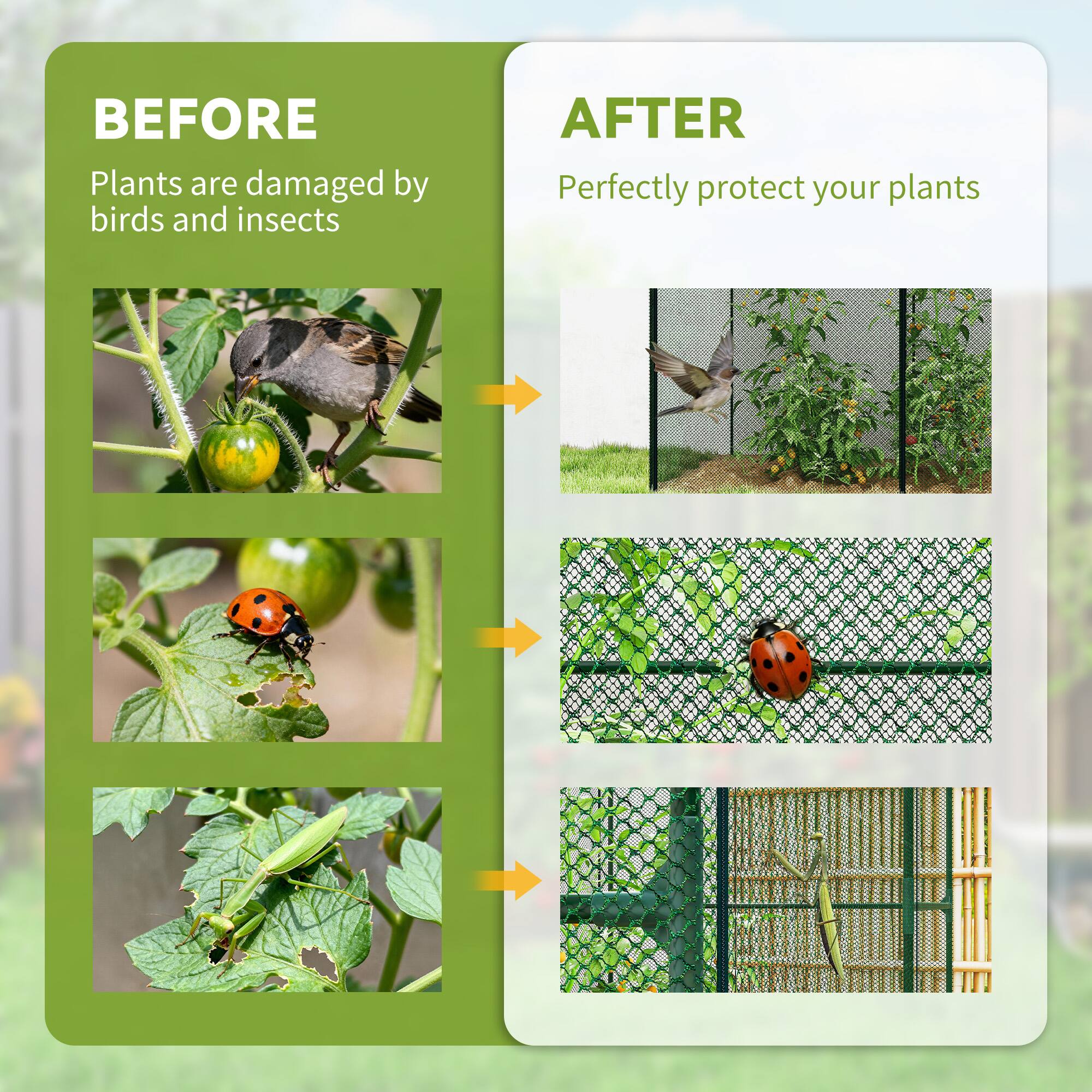 BEFORE  
Plants are damaged by birds and insects  

AFTER  
Perfectly protect your plants