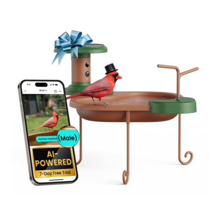 9:41
28 Jul
Northern Cardinal (Male)
AI-POWERED
7-Day Free Trial