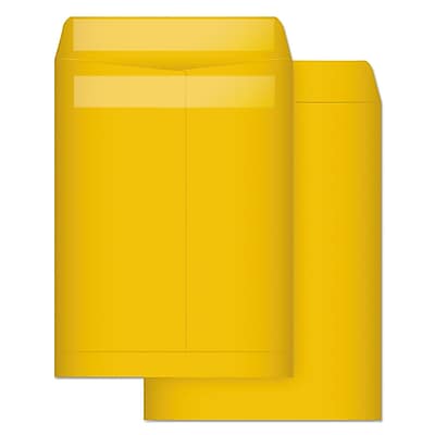 Front. Quality Park - Self Seal Kraft Catalog Envelope, 9" x 12", 100/Box - Brown.