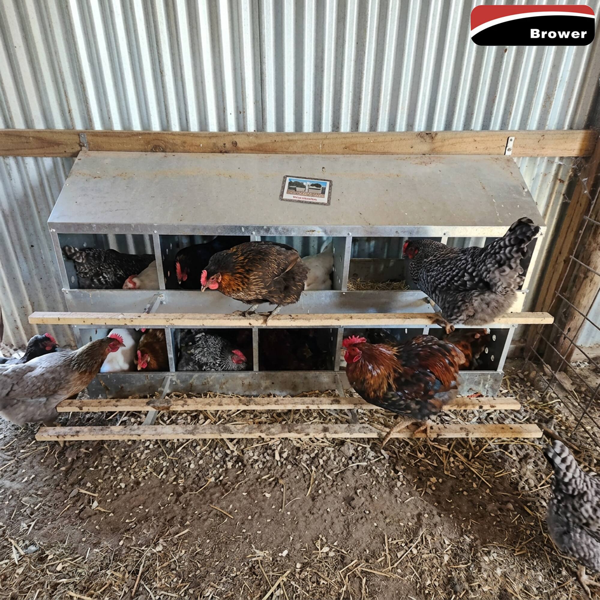Alt View 4. Brower - Brower 410B Galvanized Steel 10 Hole 50 Bird Poultry Nest Chicken Brooding Box.