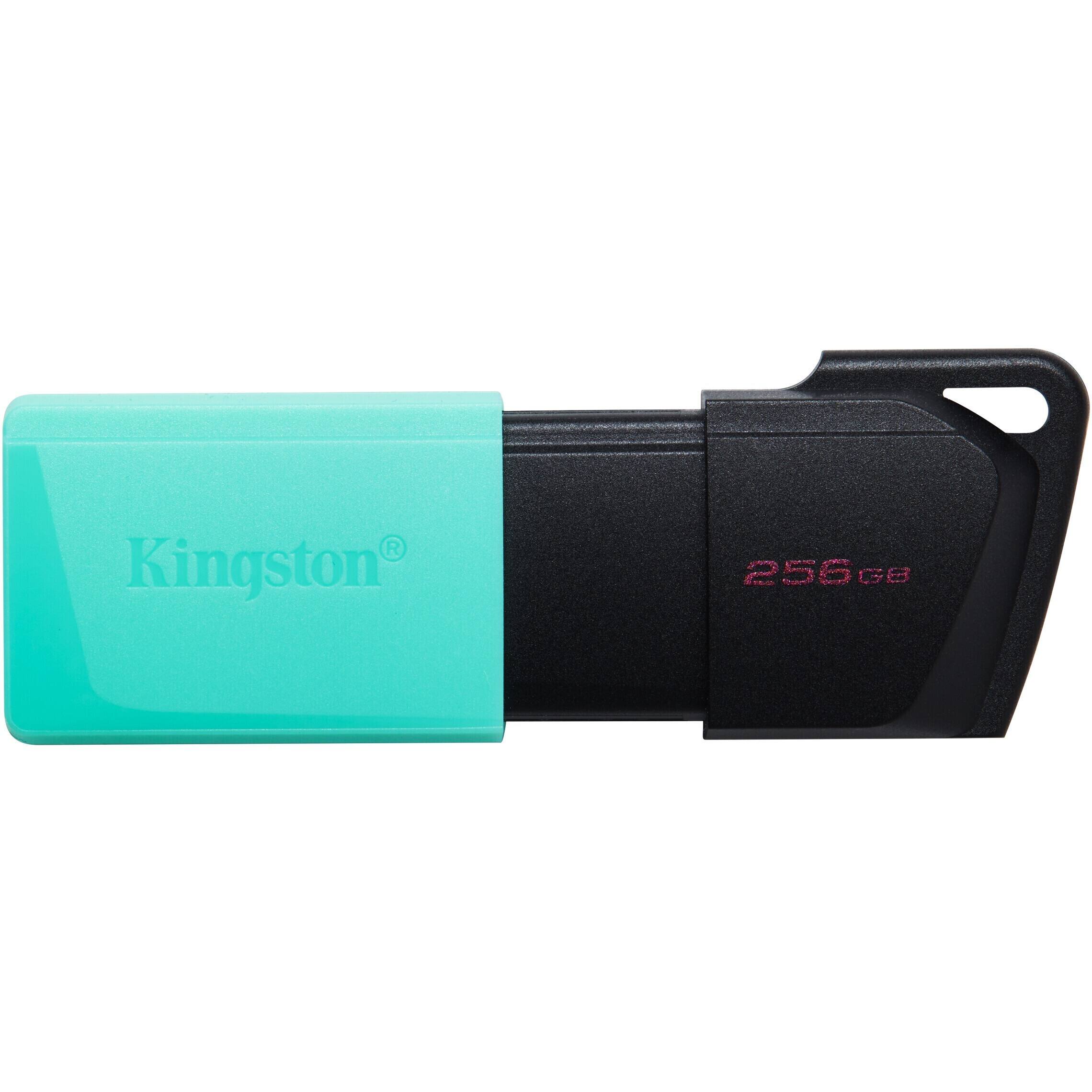 Kingston  
256GB