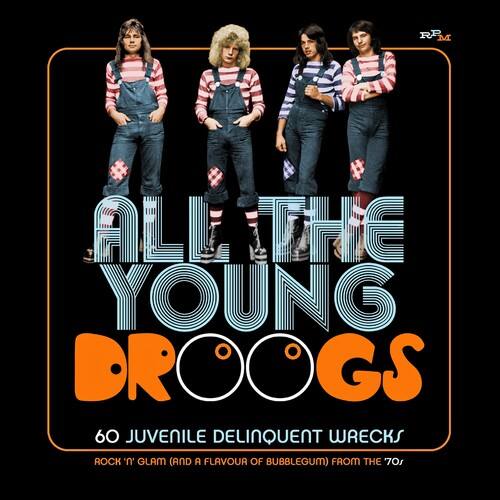 Various Artists - All The Young Droogs: 60 Juvenile Delinquent Wrecks / Various   - COMPACT DISCS [CD] price history on PriceWatchPro
