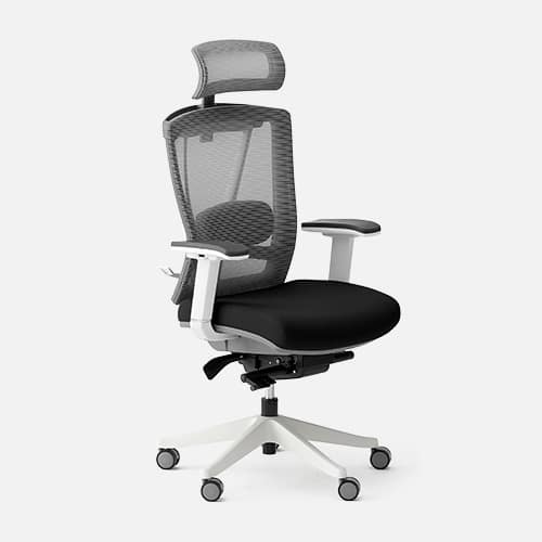 Autonomous - ErgoChair Pro Ergonomic Office Chair - Black and White