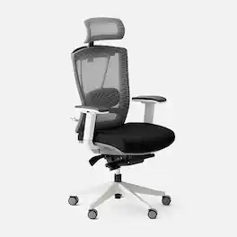 Autonomous - ErgoChair Pro Ergonomic Office Chair - Black and White