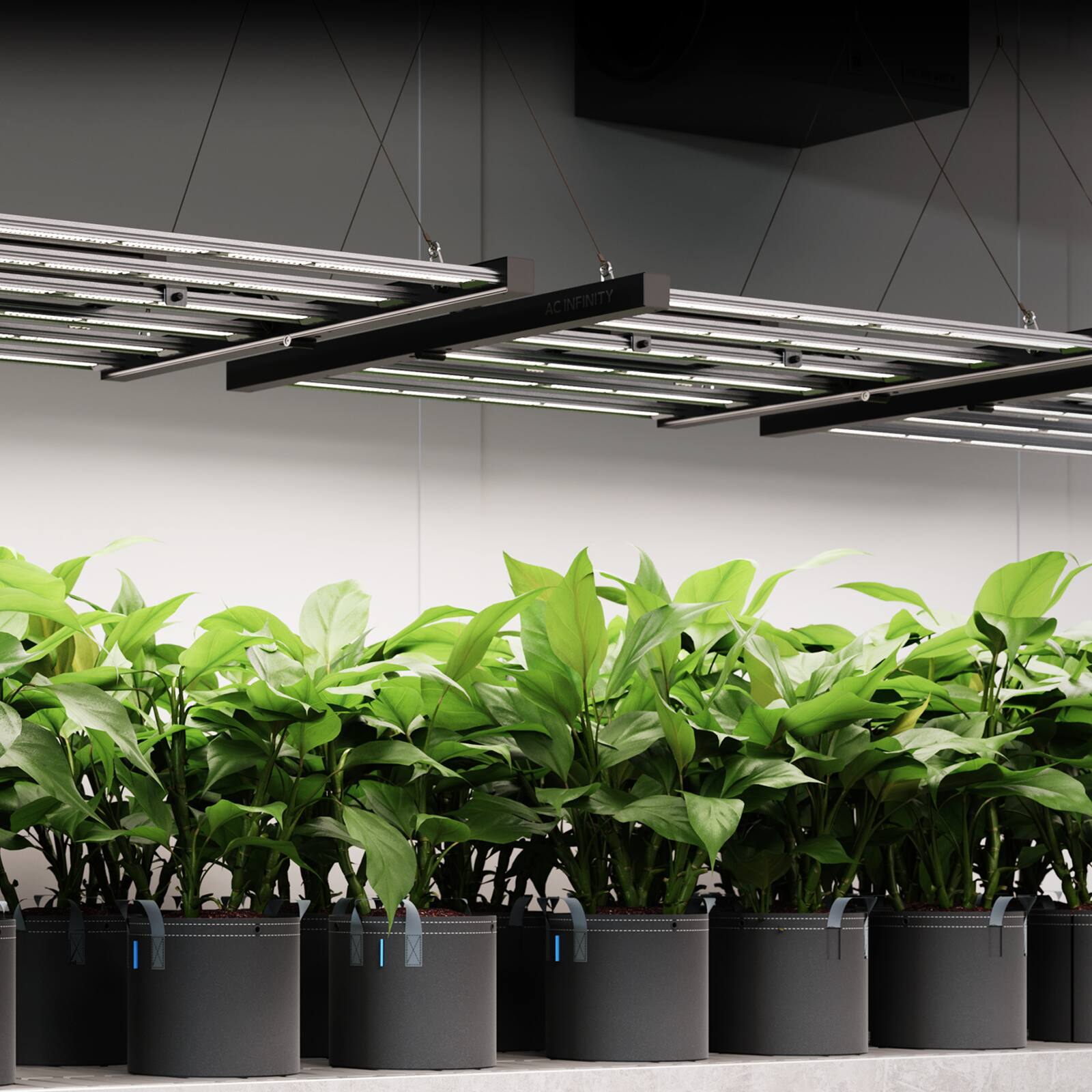 Alt View 7. AC Infinity - IONFRAME EVO8, Grow Light 730W, Full Spectrum LED 5x5 Coverage.