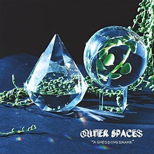 Outer Spaces - Shedding Snake   - VINYL LP price history on PriceWatchPro