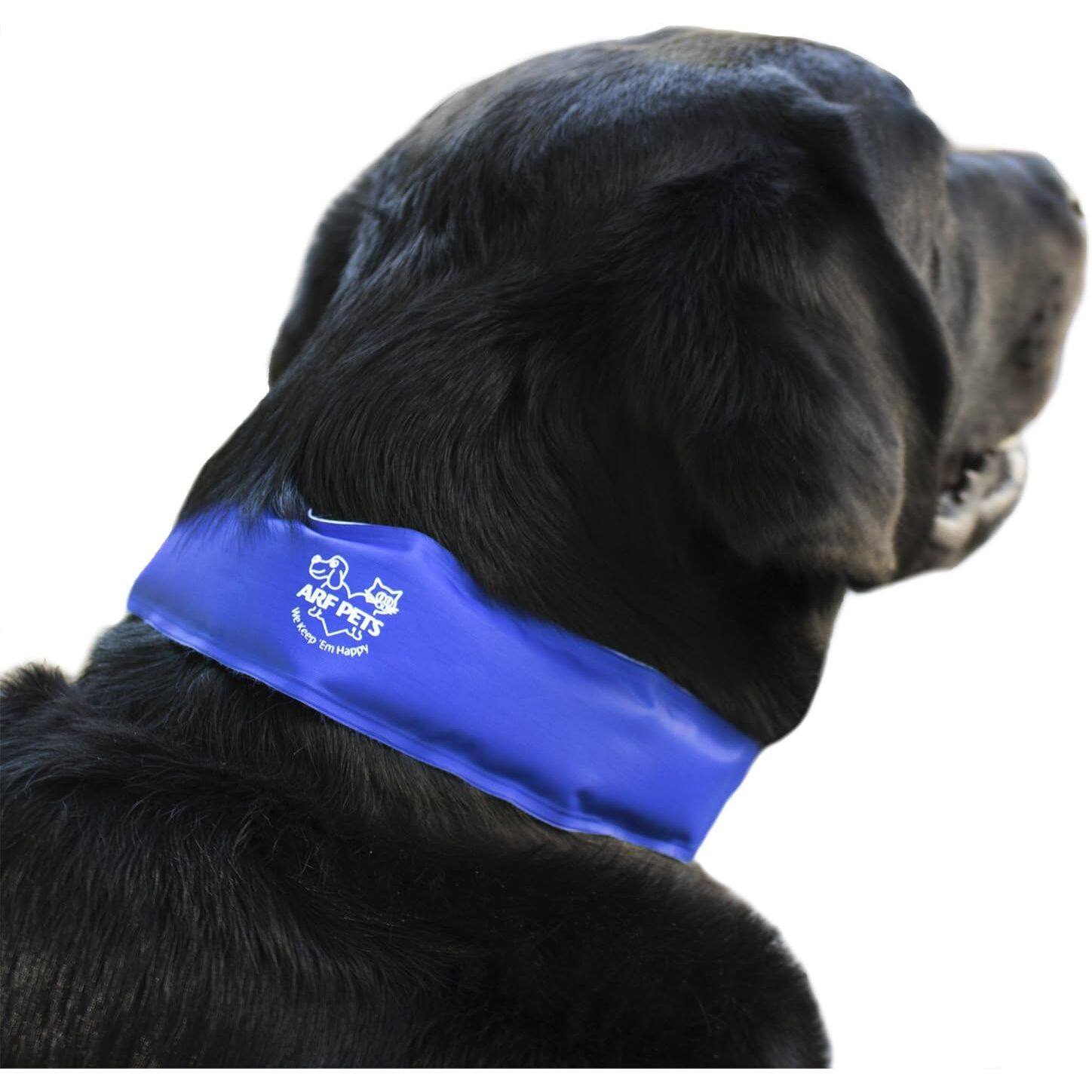 Arf Pets - Dog Cooling Collar, 100% Non-Toxic Material, Relieves Heat Stress - Stays Cool for Hours - Blue