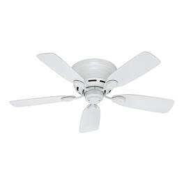 Hunter - Low Profile 42" Ceiling Fan - Light Wood