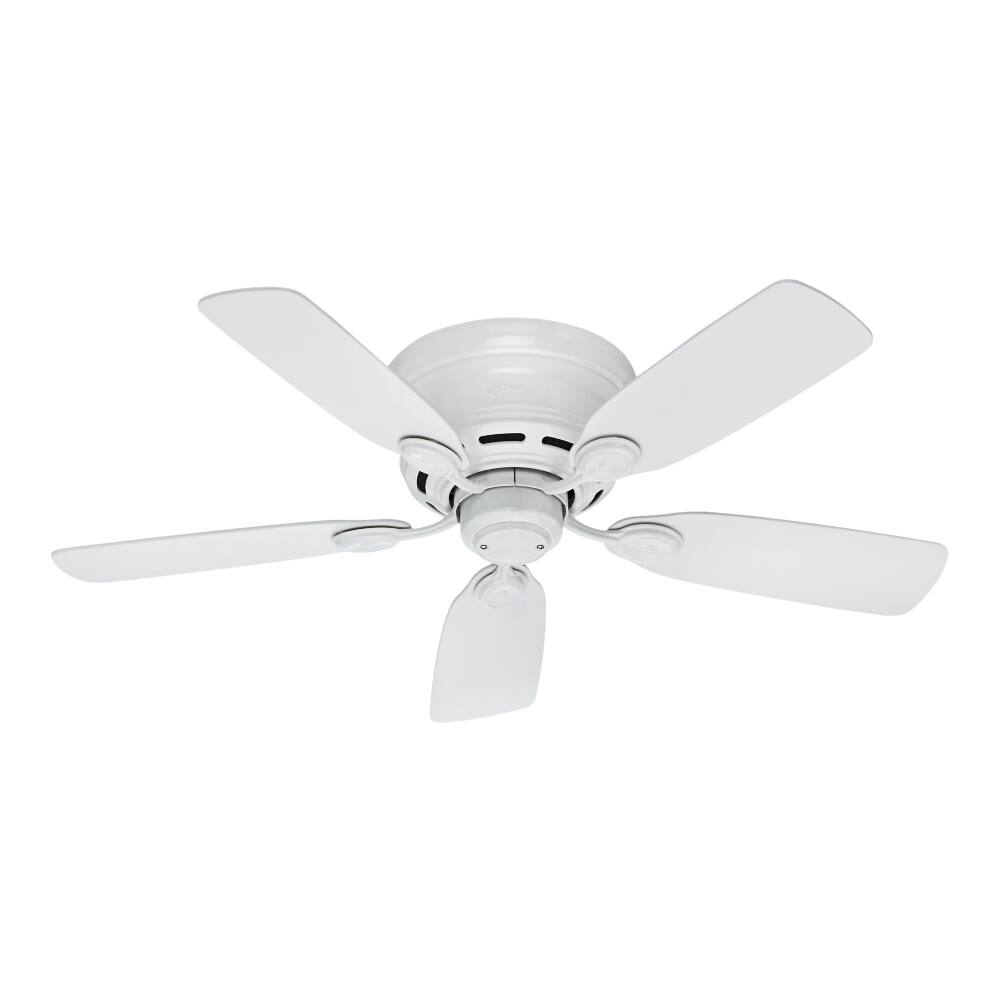 Front. Hunter - Low Profile 42" Ceiling Fan.