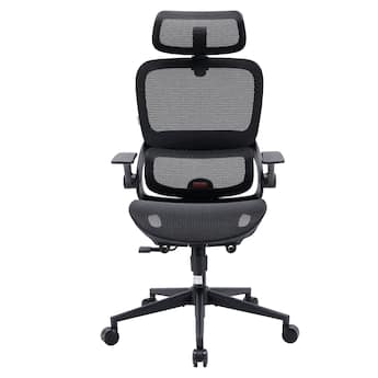 SIHOO B100 Ergonomic Office Chair, Desk Chair with Zoned Back SIHOO B100 Ergonomic Office Chair, Desk Chair with Zoned Back