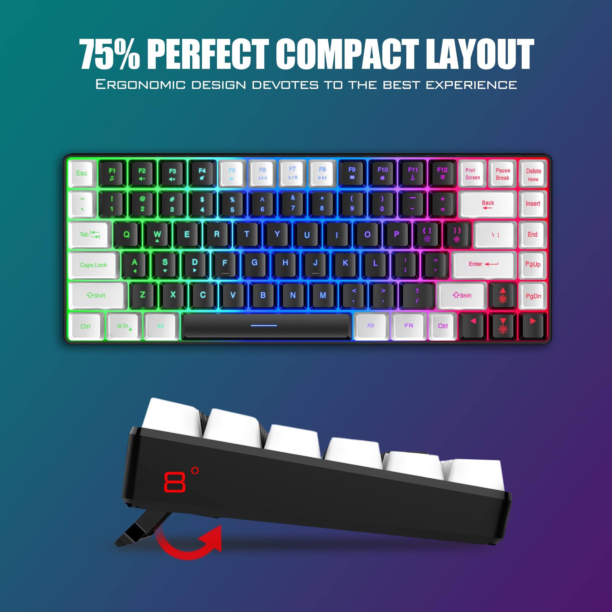 75% PERFECT COMPACT LAYOUT  
ERGONOMIC DESIGN DEVOTES TO THE BEST EXPERIENCE  

ESC F1 F2 F3 F4 F5 F6 F7 F8 F9 F10 F11 F12  
Print Screen Pause Break Delete Home  
Tab Insert Back End  
Caps Lock A S D F G H J K L ; ' Enter  
Shift Z X C V B N M , . / Shift  
Ctrl Win Alt FN Ctrl  
PgUp PgDn