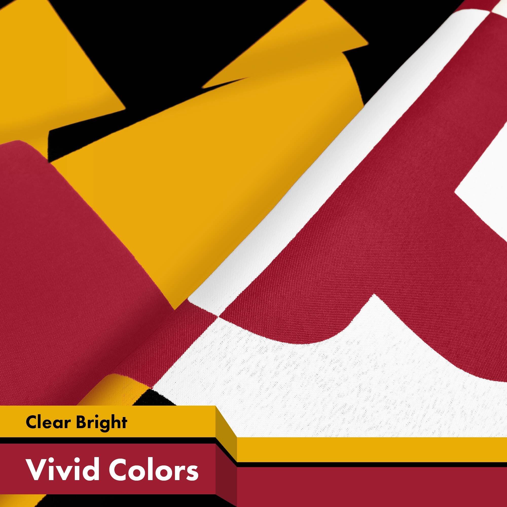 Clear Bright  
Vivid Colors