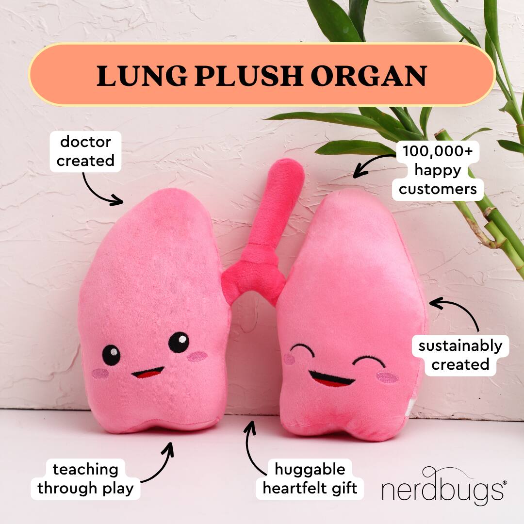 LUNG PLUSH ORGAN

- doctor created
- teaching through play
- sustainably created
- huggable heartfelt gift
- 100,000+ happy customers

nerdbugs®
