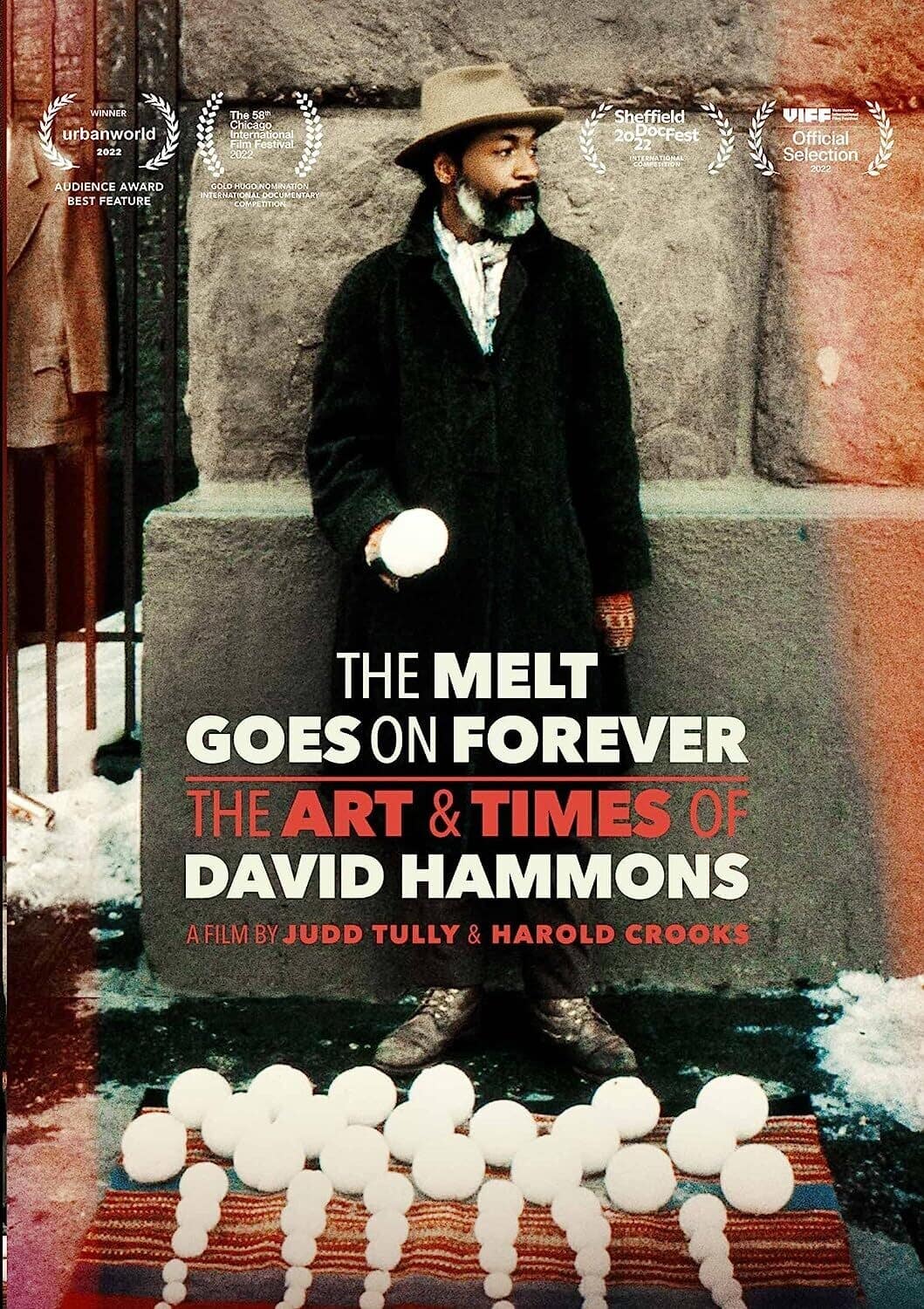 The Melt Goes on Forever: The Art and Times of David Hammons  - DVD