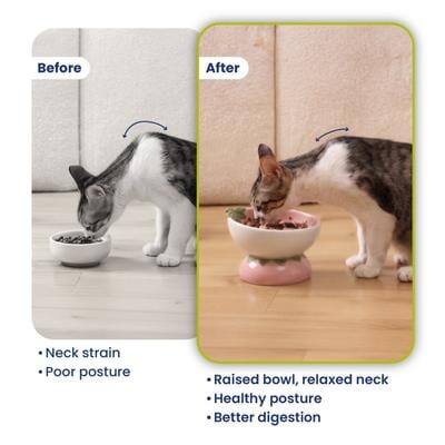 Before
After
Neck strain Poor posture
Raised bowl, relaxed neck Healthy posture Better digestion