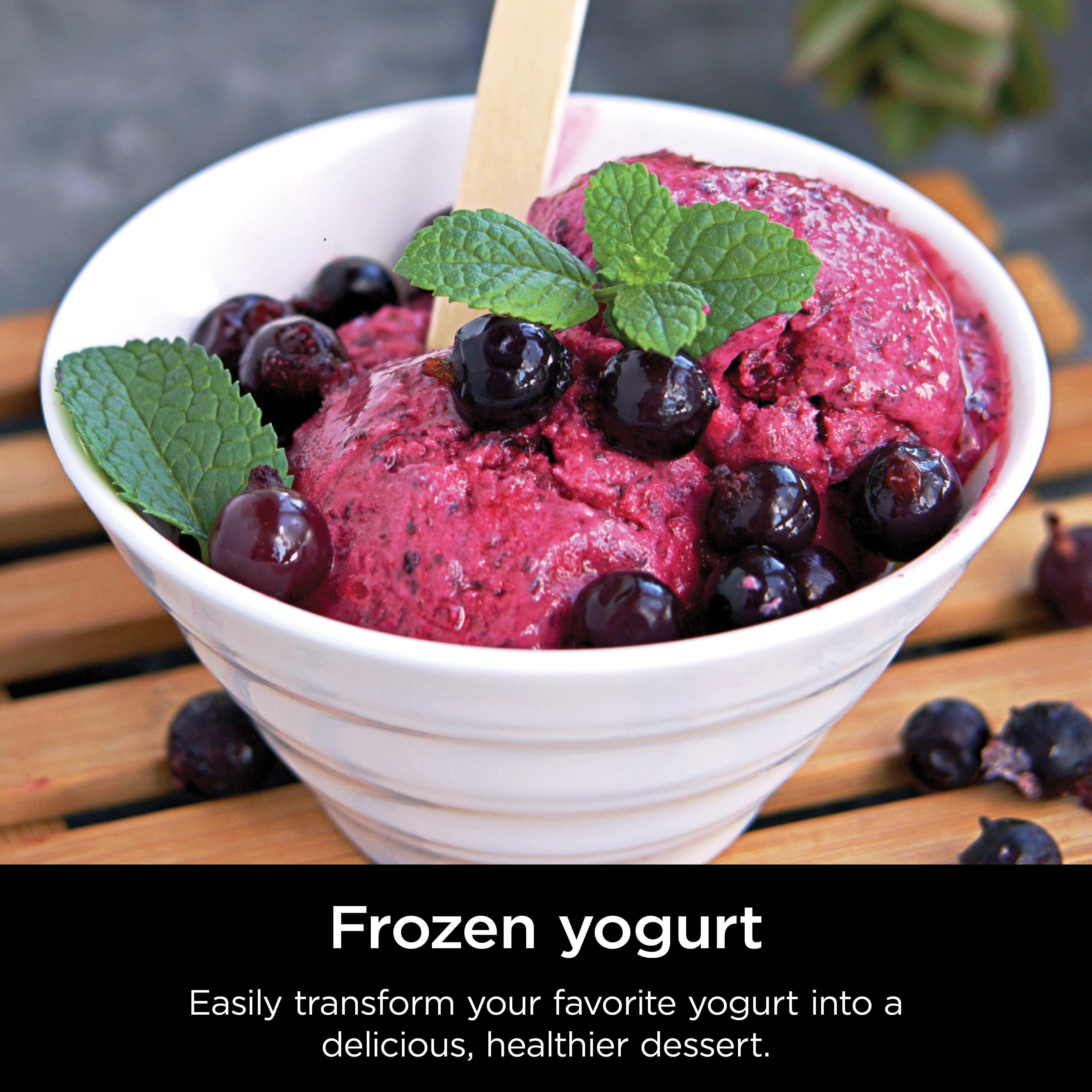 Frozen yogurt is an easy way to transform your favorite yogurt into a delicious, healthier dessert.