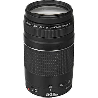 Canon EF S55 250mm F4 5.6 IS STM Telephoto Zoom Lens for EOS DSLR Canon EF S55 250mm F4 5.6 IS STM Telephoto Zoom Lens for EOS DSLR