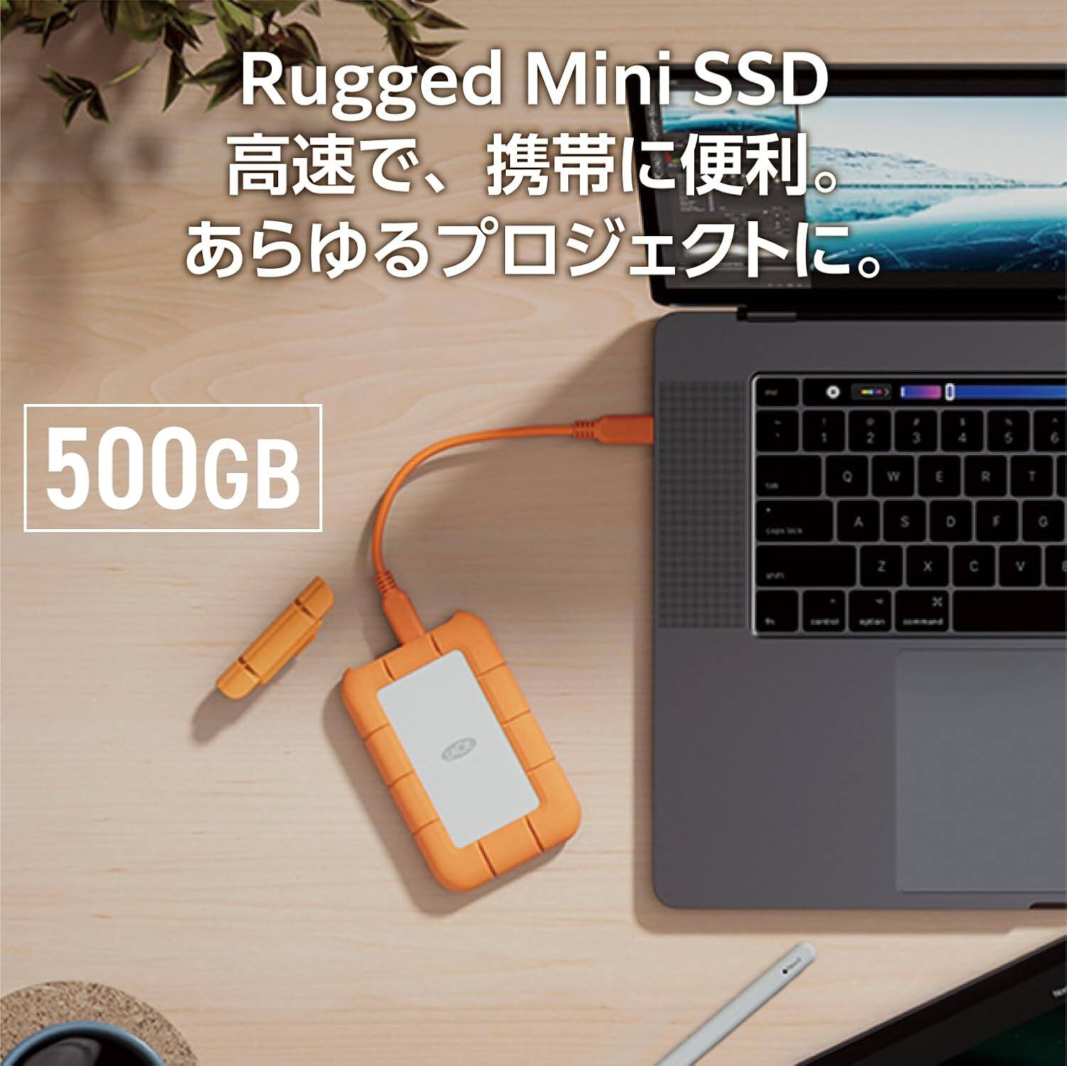 Rugged Mini SSD 500GB