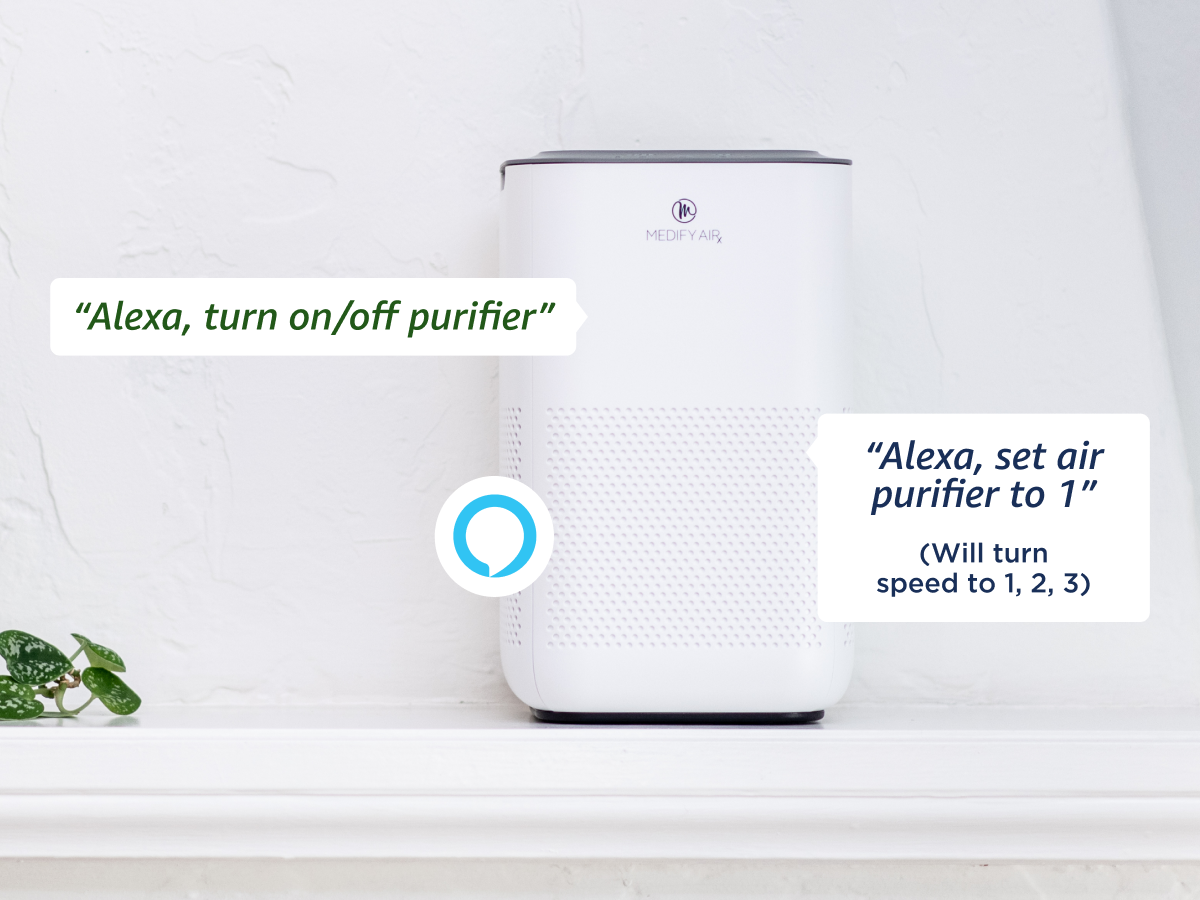 "Alexa, turn on/off purifier" and "Alexa, set air purifier to 1" are two separate commands. The first command, "Alexa, turn on/off purifier," is used to control the air purifier's power, while the second command, "Alexa, set air purifier to 1," is used to set the air purifier's speed to the lowest setting (1). The text on the image is correct, and there is no need to group or correct it.