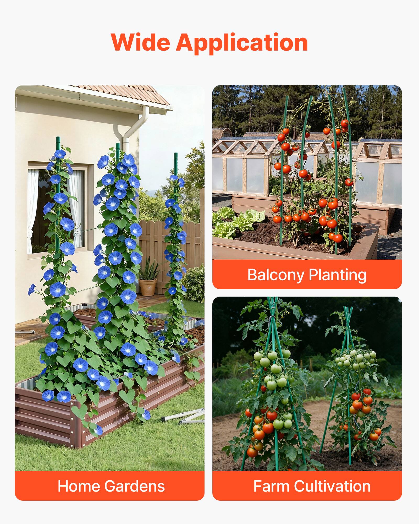 Wide Application  
Balcony Planting  
Home Gardens  
Farm Cultivation