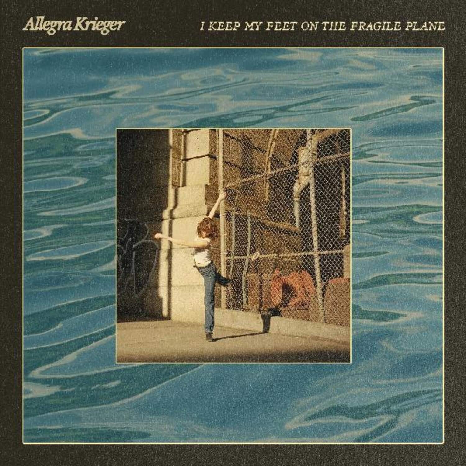 Allegra Krieger - I Keep My Feet On The Fragile Plane   - VINYL LP price history on PriceWatchPro