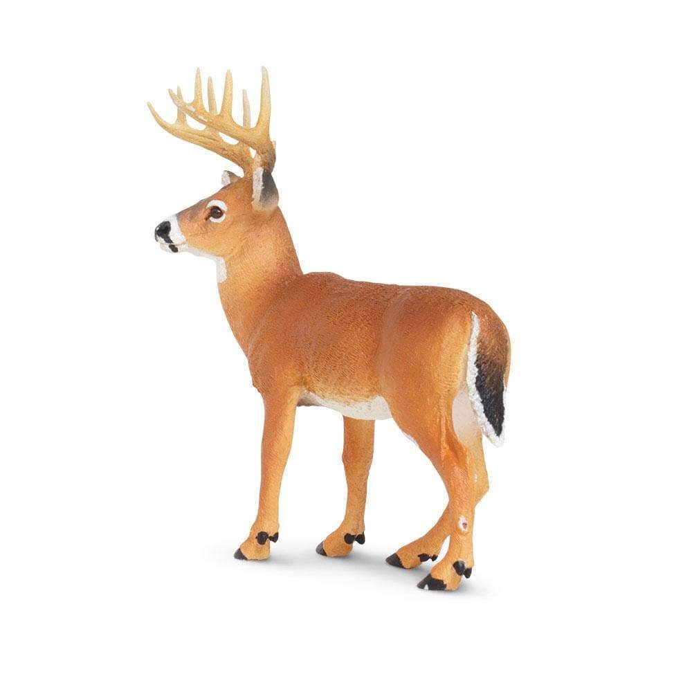 Angle. Safari Ltd. - Whitetail Buck Toy Figurine.