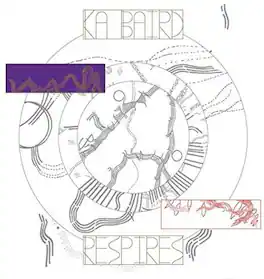 Ka Baird - Respires - VINYL LP