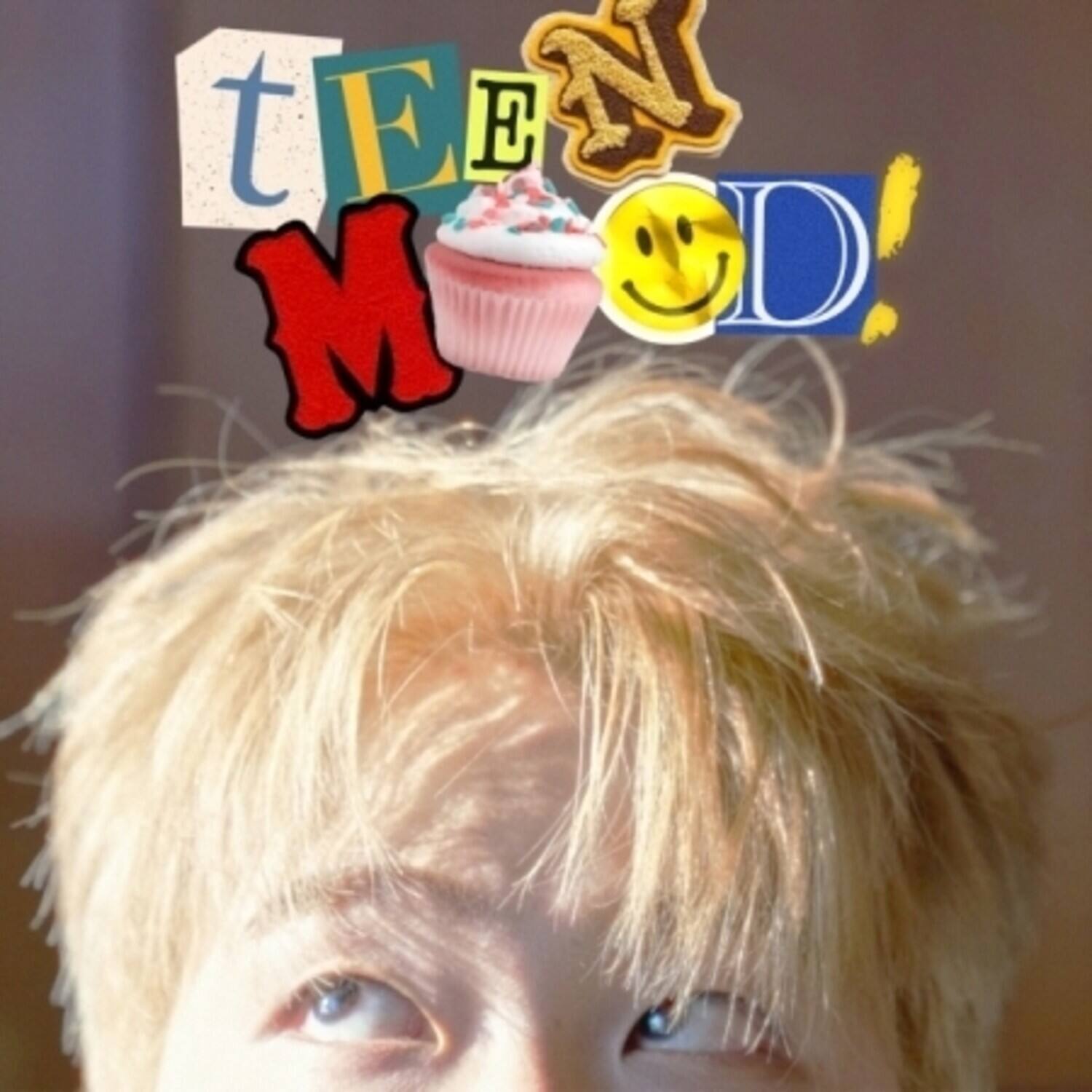 Front. Timid Mood - Teen Mood   - COMPACT DISCS.