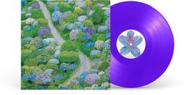 Fiddlehead - Between the Richness - Violet - VINYL LP