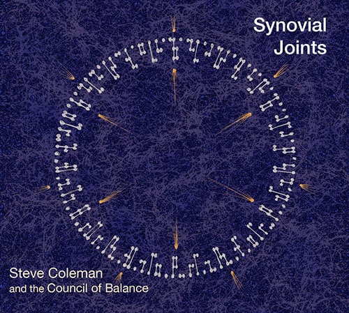 Steve Coleman & the Council of Balanc - Synovial Joints   - COMPACT DISCS [CD] price history on PriceWatchPro