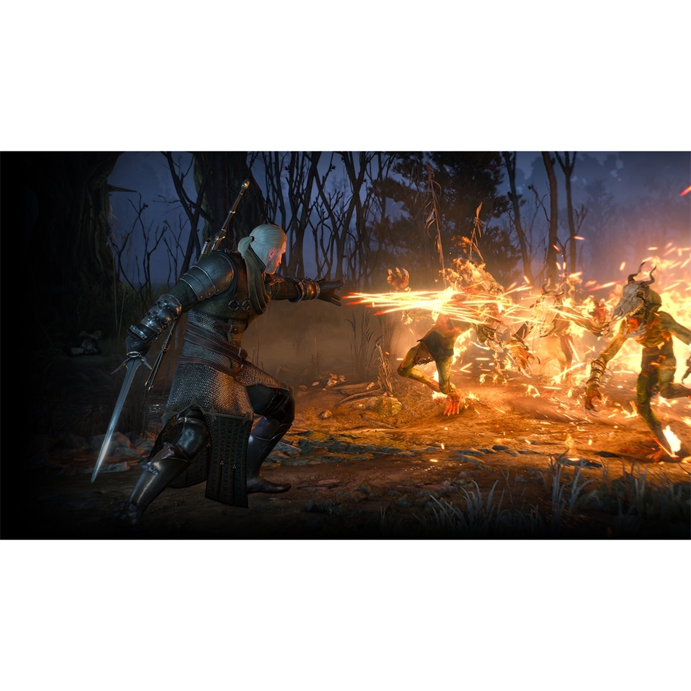Sony PlayStation 4 Game Deals - The Witcher 3 Wild Hunt - Complete