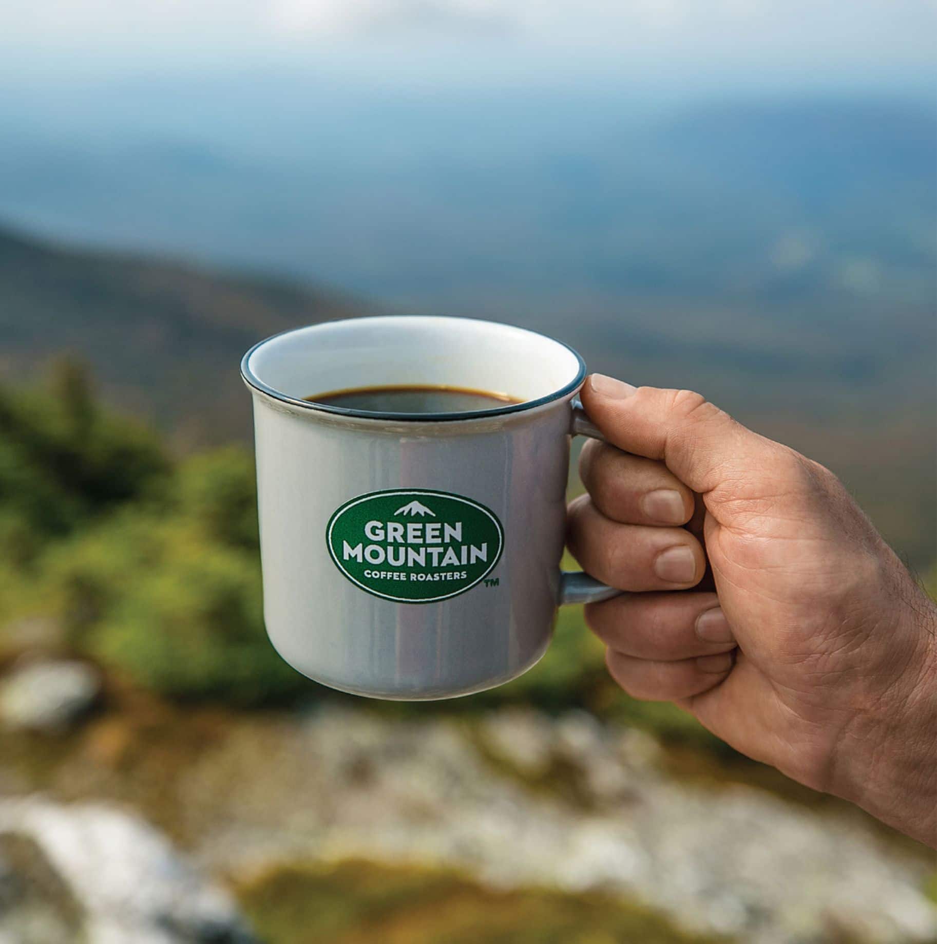 Best Buy Green Mountain Coffee Seasonal Selections KCup Pods (18Pack