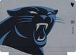Microsoft - Surface Pro 4 Special Edition NFL Type Cover - Carolina Panthers - Larger Front