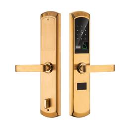 Cluzine - Outdoor RFID Smart Door Lock Tuya WiFi Fingerprint Digital Keyless Hotel